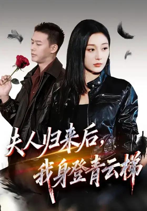 夫人归来后，我身登青云梯 夫人助我踏巅峰