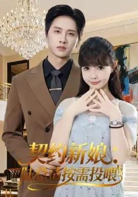 契约新娘：陆总请按需投喂