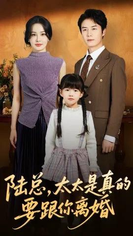 陆总，太太是真的要跟你离婚