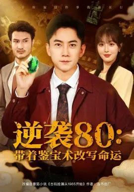 逆袭80:带着鉴宝术改写命运