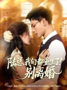 陆总，我们都重生了！别离婚