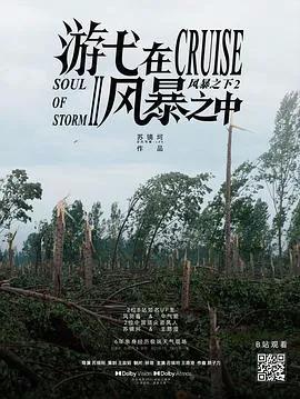 游弋在风暴之中