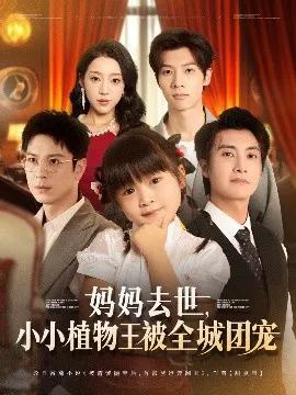 妈妈去世，小小植物王被全城团宠