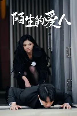 陌生的爱人