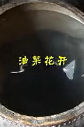 油菜花开