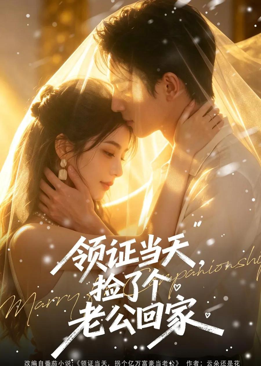 领证当天,捡了个老公回家