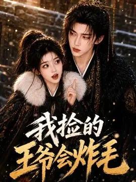 我捡的王爷会炸毛