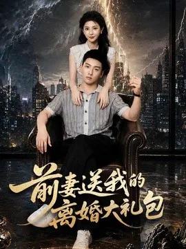 前妻送我的离婚大礼包