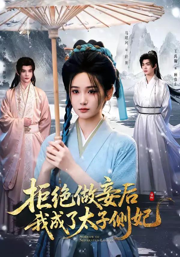拒绝做妾后我成了太子侧妃