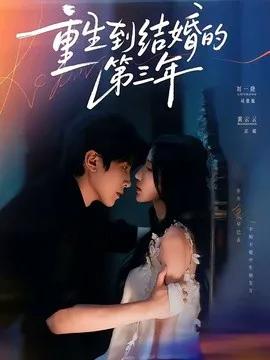 重生到结婚的第三年