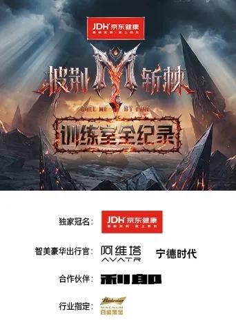披荆斩棘2026训练室全纪录