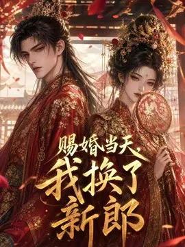 赐婚当天，我换了新郎