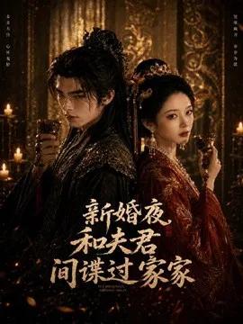 新婚夜和夫君间谍过家家