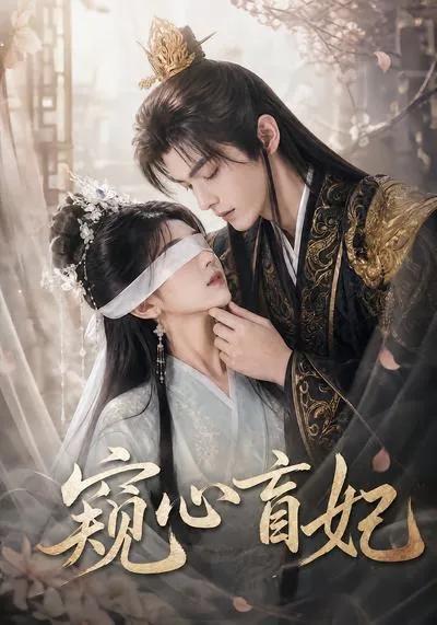窥心盲妃