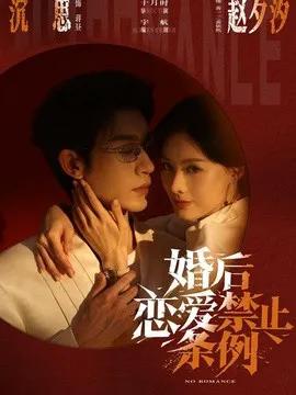 婚后恋爱禁止条例