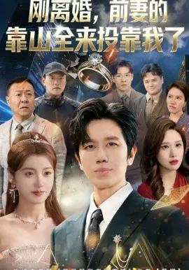 离婚,前妻的靠山全来投靠我了