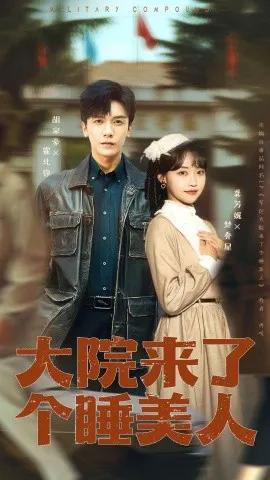 大院来了个睡美人(100集版)