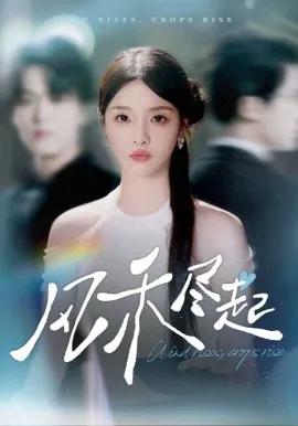 风禾尽起短剧