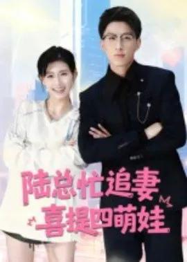 陆总忙追妻，喜提四萌娃