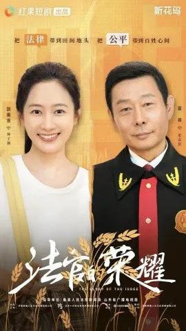法官的荣耀