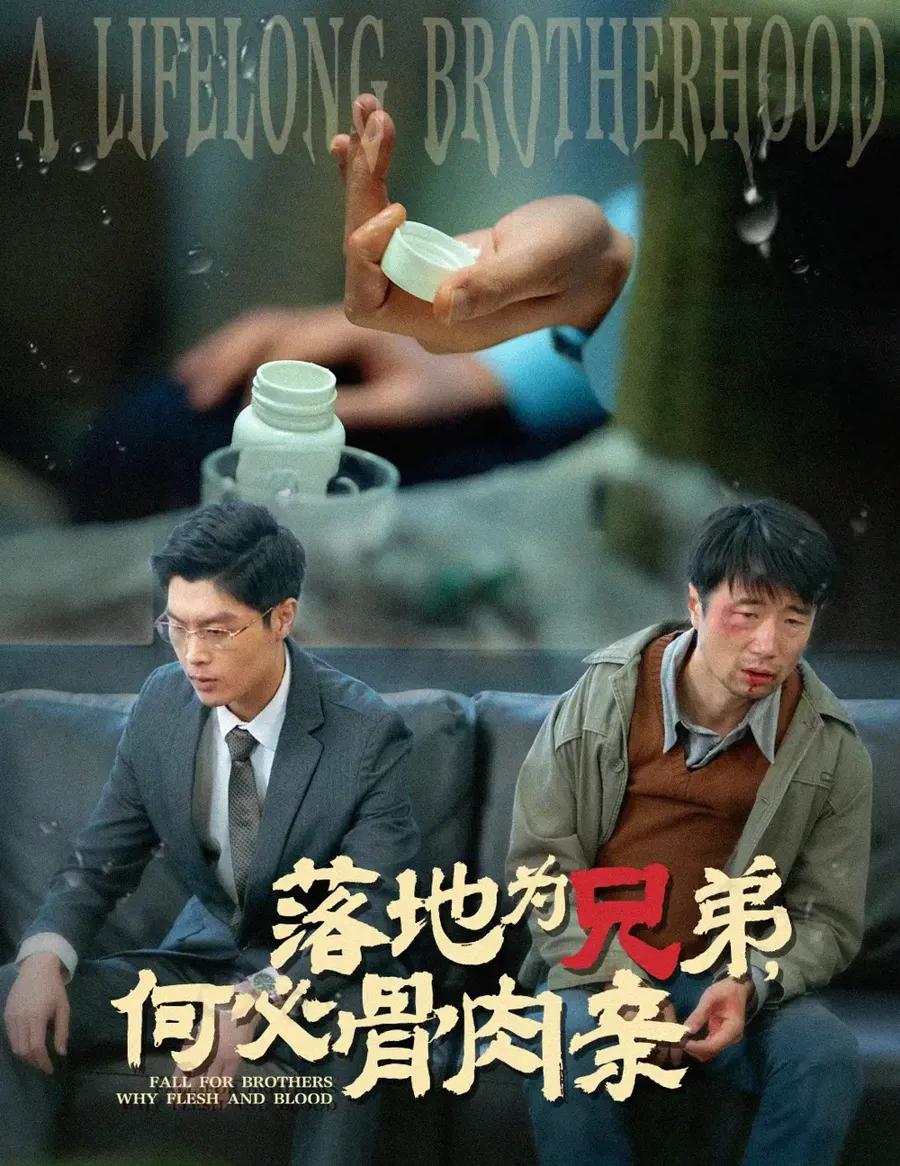 落地为兄弟,何必骨肉亲 误杀