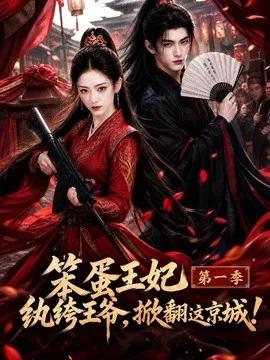 笨蛋王妃纨绔王爷,掀翻这京城第一季