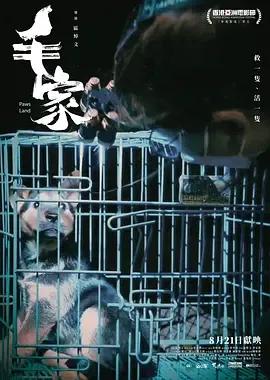 毛家