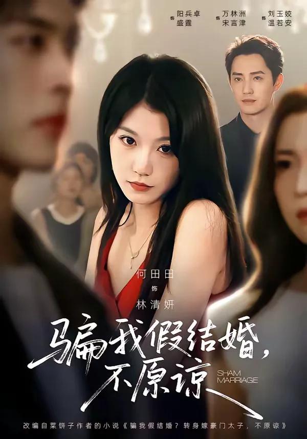 骗我假结婚,不原谅