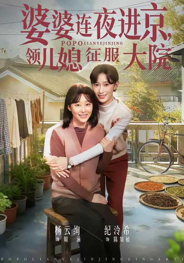 婆婆连夜进京,领儿媳征服大院
