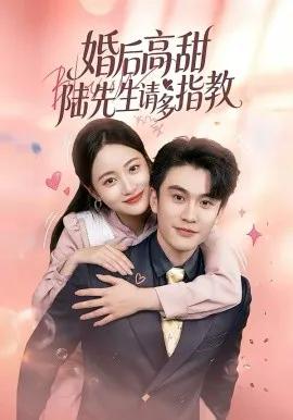 婚后高甜:陆先生请多指教