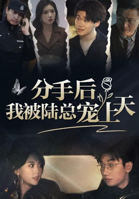 分手后,我被陆总宠上天