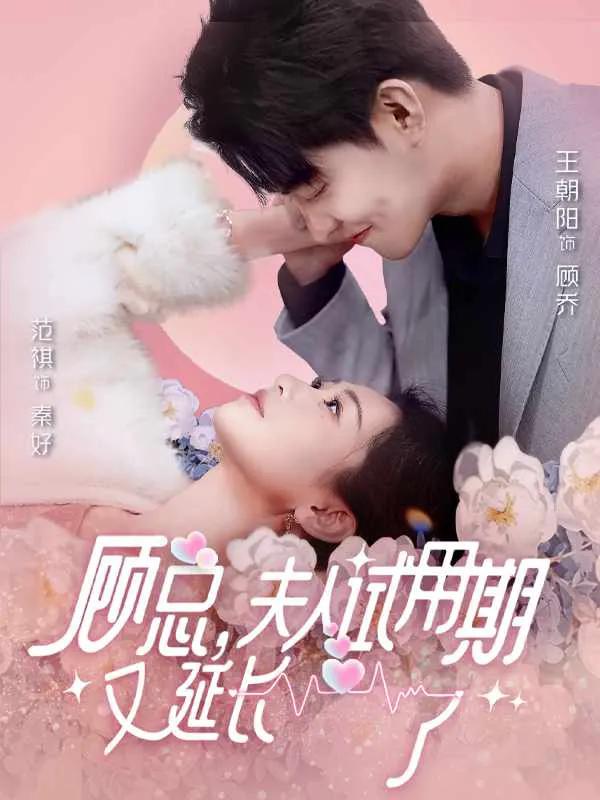 顾总,夫人试用期又延长了