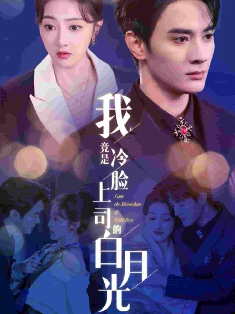 我竟是冷脸上司的白月光