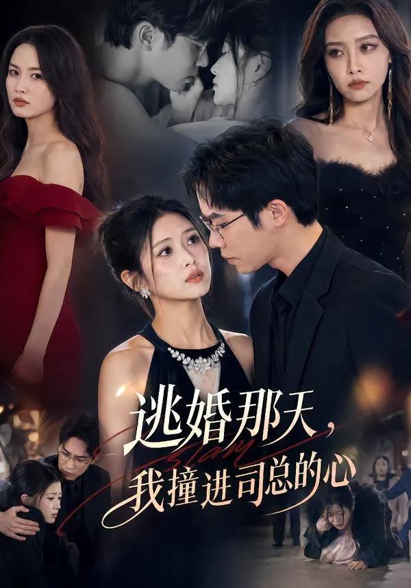 逃婚那天,我撞进司总的心