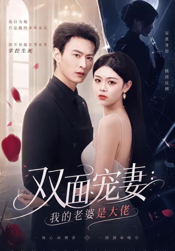 双面宠妻:我的老婆是大佬