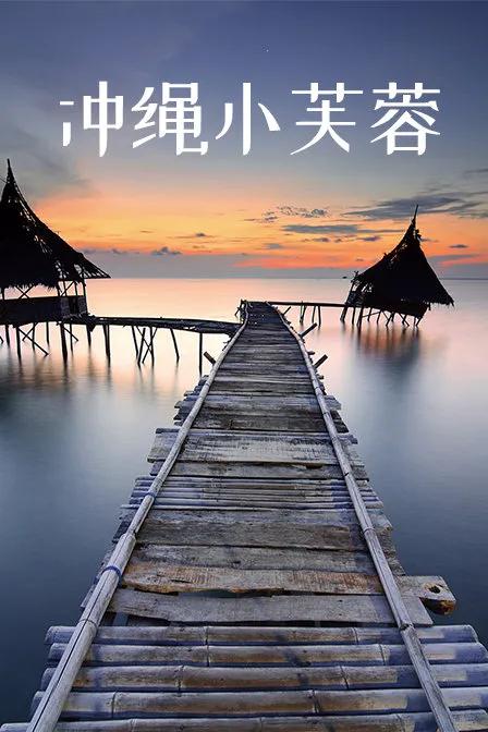 冲绳小芙蓉