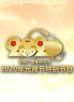 2020央视元宵特别节目