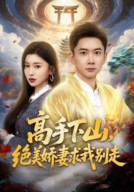 高手下山,绝美娇妻求我别走