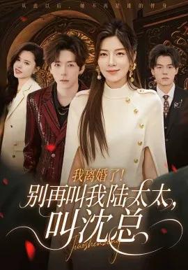 我离婚了!别再叫我陆太太,叫沈总