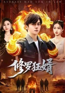 修罗狂婿