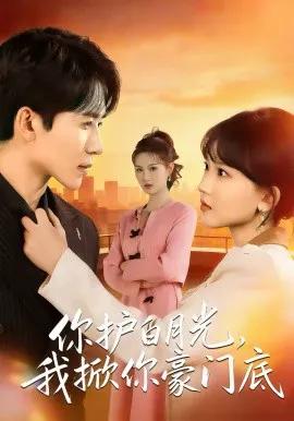 你护白月光,我掀你豪门底