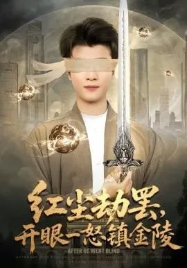 红尘劫罢,开眼一怒镇金陵