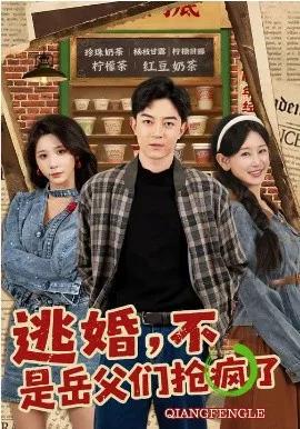 逃婚,不,是岳父们抢疯了