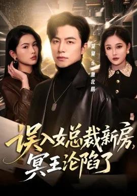 误入女总裁新房,冥王沦陷了