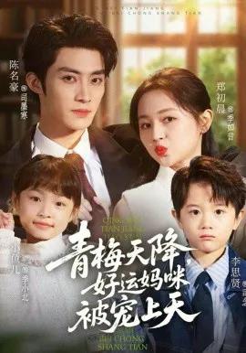 青梅天降,好运妈咪被宠上天