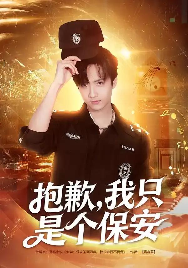 抱歉,我只是个保安