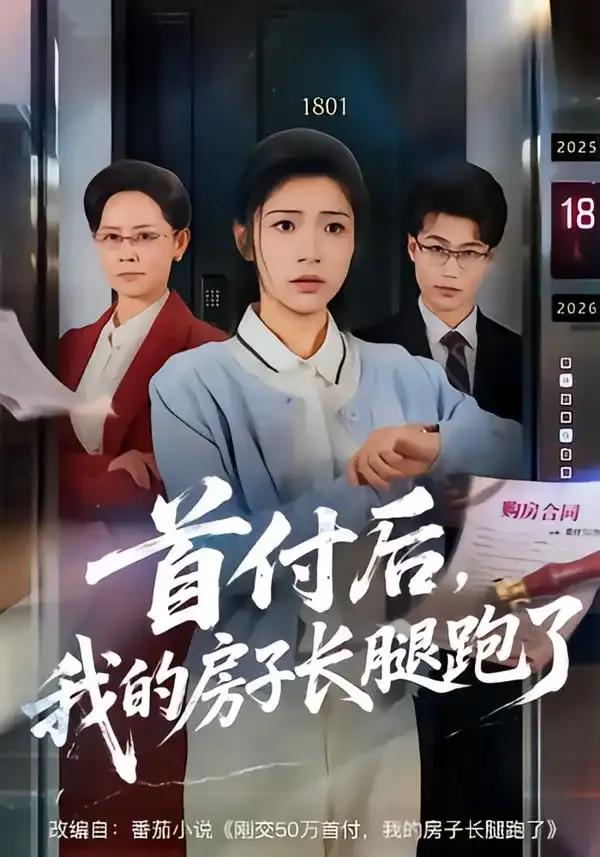 首付后,我的房子长腿跑了