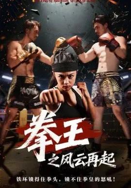 拳王之风云再起
