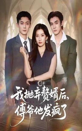 我抛弃赘婿后,傅爷他发疯了