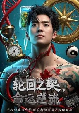轮回之契,命运逆流